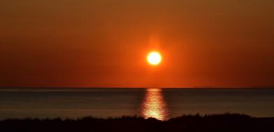 ravishing Sun Red