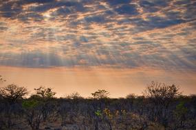 incredibly beautiful Sunset Sky Clouds