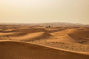 panoramic view of the sand dunes in the desert sahara