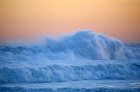 Pacific Ocean Wave