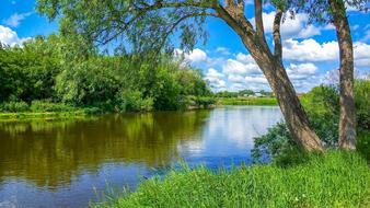incredibly beautiful River Nature