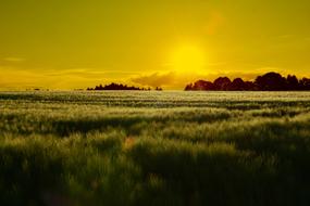wonderful Sunset Field