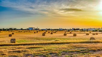 wonderful Field Agriculture