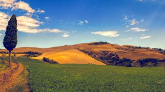 Tuscany Panorama