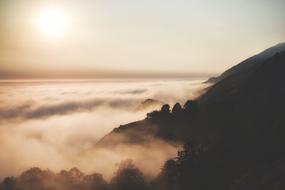 fabulous Dusk Fog