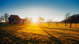 incredibly beautiful Sunrise Dawn