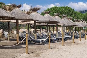 Beach Parasols Holiday
