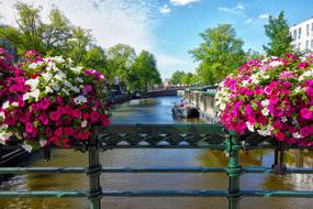 Canal Rail Bridge flowers