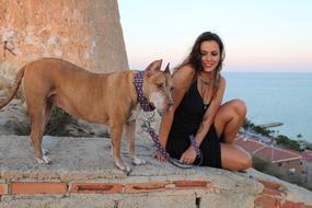 Girl and Dog Summer