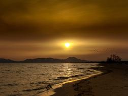 incredibly beautiful Beach Sea orange