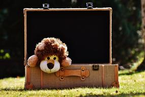 toy Lion Luggage