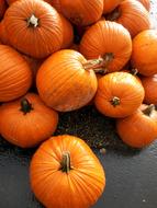 absolutely beautiful Orange Pumpkin