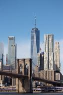 cityscape of Skyscraper and Bridge