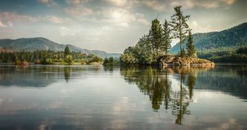 Island River and tree