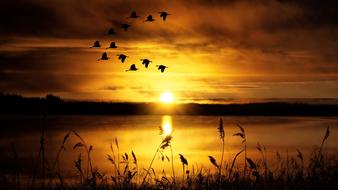 goodly Sky Lake