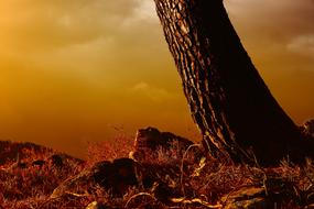 perfect Sunset Nature Sky