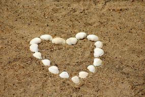Heart Shells on Sand