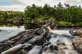 River and Forest