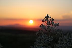 sunset on the horizon on a blurred background