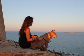 incredibly beautiful Girl Dog
