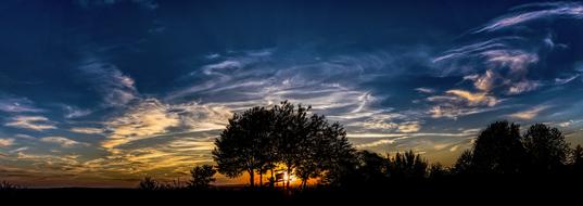 Beautiful panorama with the colorful sunset behind the trees