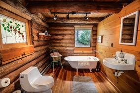 small Log Home