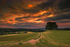 landscape of fabulous Nature