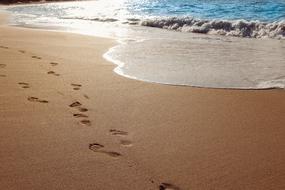 footprints on a sandy tropical beach