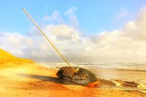 boat on the beach under white clouds