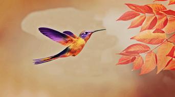 Beautiful and colorful painting of the colorful bird, flying hummingbird, near the colorful leaves, clipart