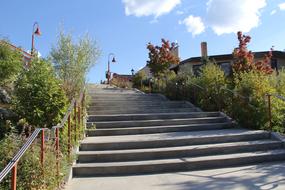 Stairs Summer green garden