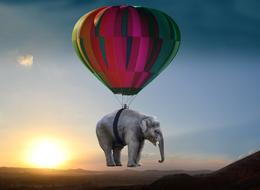 Elephant Sunset fly balloon