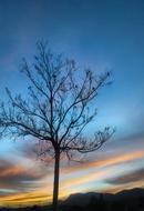 Beautiful landscape with the tree, at colorful sunset in the sky with clouds