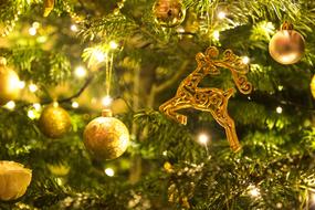 Close-up of the beautiful, green Christmas tree, with the beautiful and colorful decorations