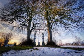 Winter Tree and cross Landscape