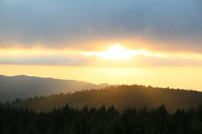 Beautiful landscape of the mountain, with the trees, at beautiful and colorful sunset