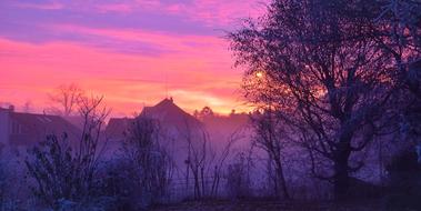 colorful Sunset over Trees