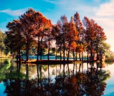 China trees Lake Reflections