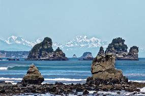 New Zealand National Park sea stone
