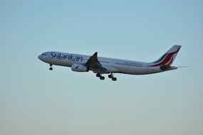 Side view of the beautiful and colorful, flying aircraft, in the gradient sky