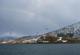 landscape of Sea and Mountain