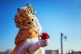 Girl in beautiful masquerade costume and mask holding red flower