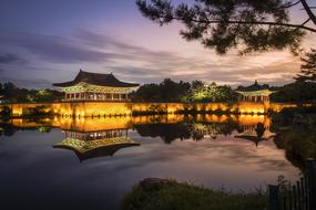 distant view of the old palace on the pond at night