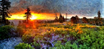 oil painting forest sunset