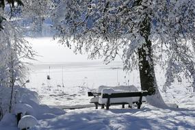 Beautiful landscape with the bench, among the plants, near the Lake Weissensee, in Austria