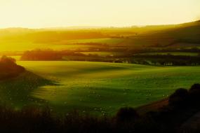 green Great Britain Landscape