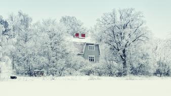 Finland Snow Winter forest house