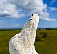 Stone Polar Bear Baltic Sea