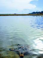 amazing Bali sea