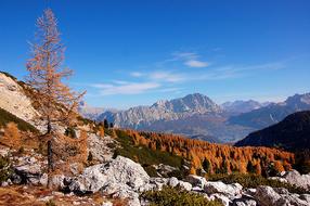 Beautiful and colorful landscape of Dolomites, with the Monte Cristallo, with the colorful plants and rocks, in Italy